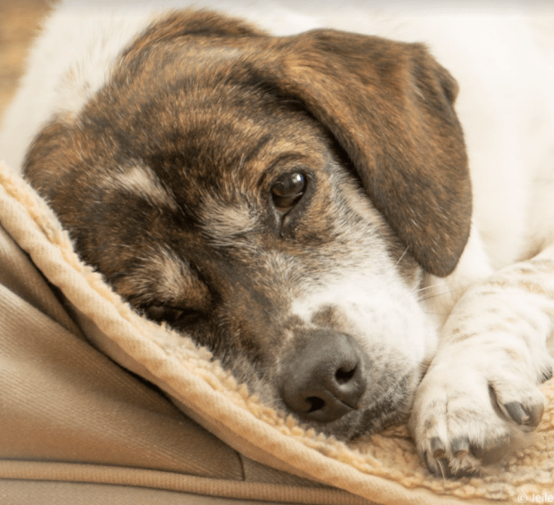 Screen Shot 2017-07-28 at 1.08.55 PM.png